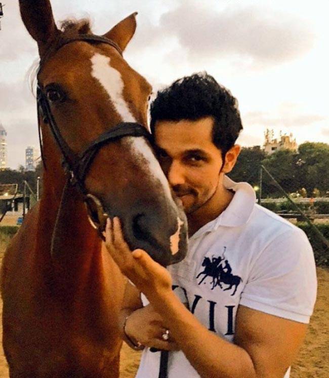 #WorldAnimalDay पर मि‍लिए बॉलीवुड स्टार्स के Pets से