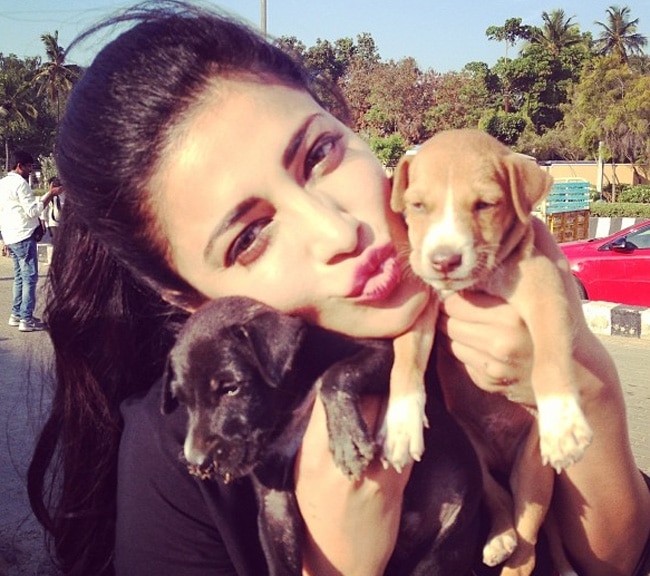 #WorldAnimalDay पर मि‍लिए बॉलीवुड स्टार्स के Pets से