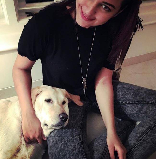 #WorldAnimalDay पर मि‍लिए बॉलीवुड स्टार्स के Pets से