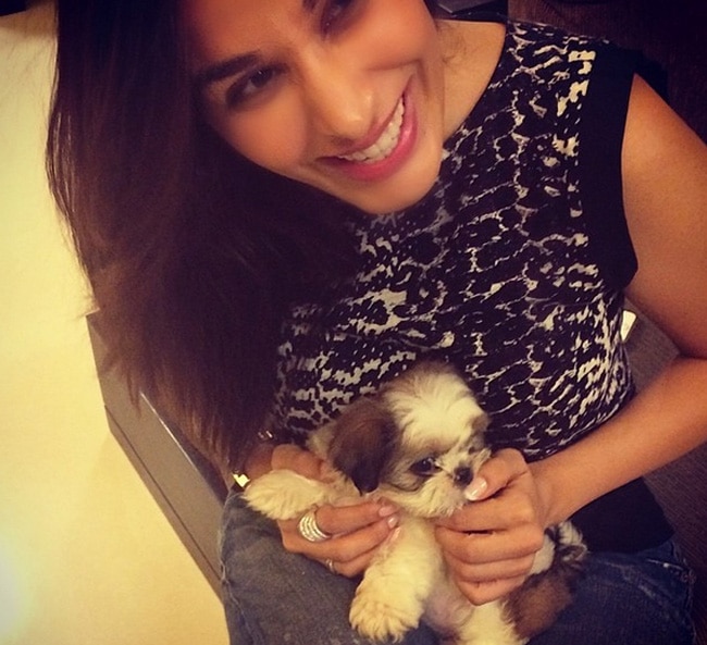 #WorldAnimalDay पर मि‍लिए बॉलीवुड स्टार्स के Pets से