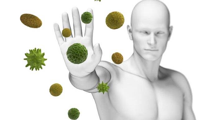 15 बातें जिन्हें जानने के बाद आप रोज खाएंगे अमरूद...