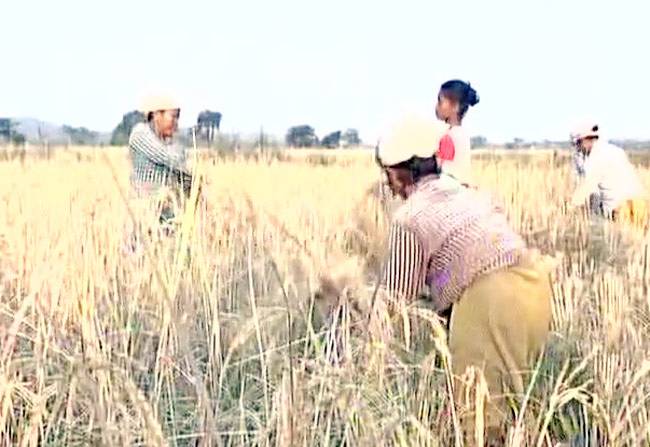 नए नोट लेने पर लगने लगी काली स्याही, बैंक-ATM पर लंबी लाइन जारी