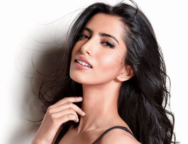 चोरों ने मल्ल‍िका शेरावत के अलावा इन सिलेब्रिटीज को भी नहीं बख्शा