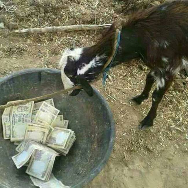 अब इस काम के हजार-पांच सौ के नोट