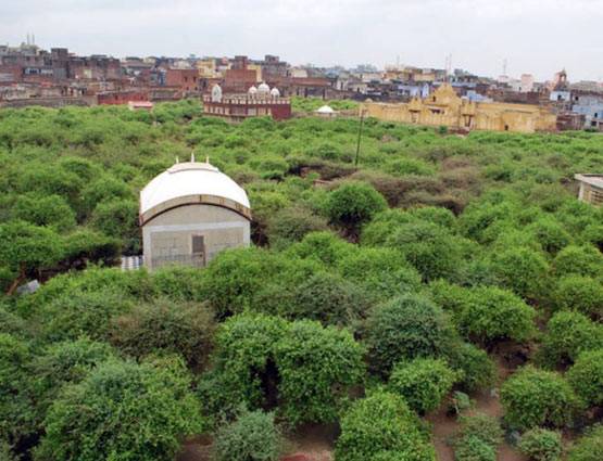 जहां आज भी रास रचाते हैं श्री कृष्ण