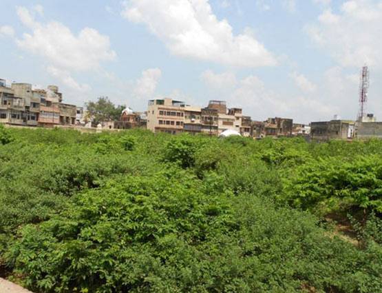 जहां आज भी रास रचाते हैं श्री कृष्ण