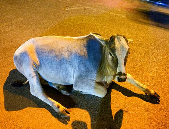 ये हैं बेस्ट कैमरा वाले फोन