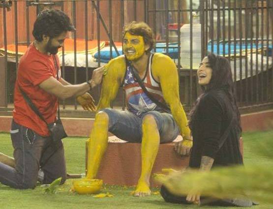 देखें, मोनालिसा की हल्दी की तस्वीरें