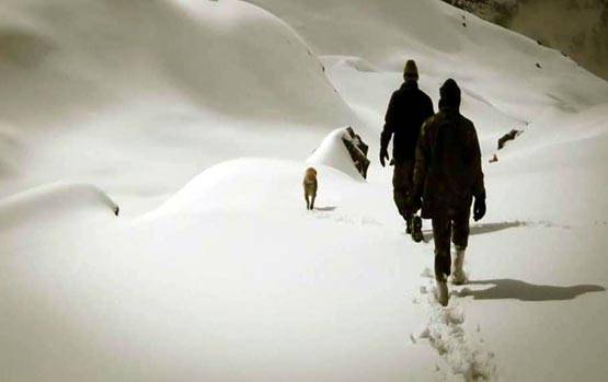 कश्मीर में बर्फीले तूफान का कहर, भारतीय सेना ऐसे कर रही सामना