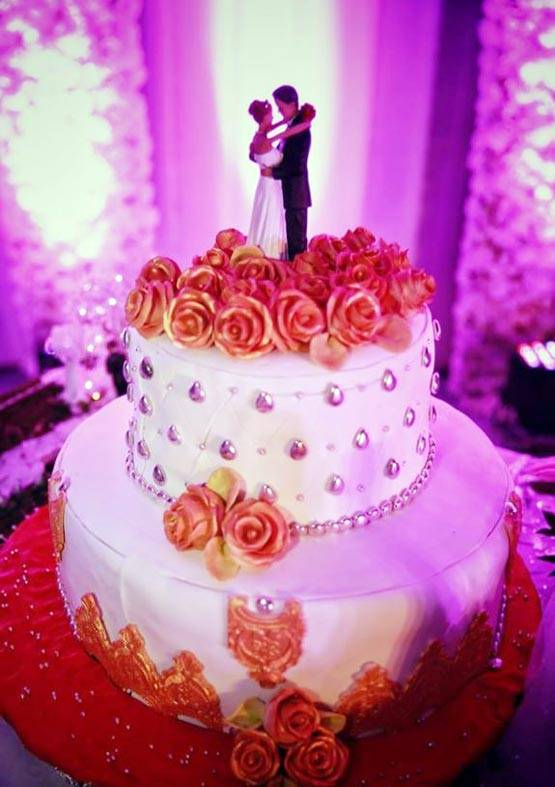 PICS:जब घुटनों पर बैठकर नील ने किया मंगेतर को प्रपोज