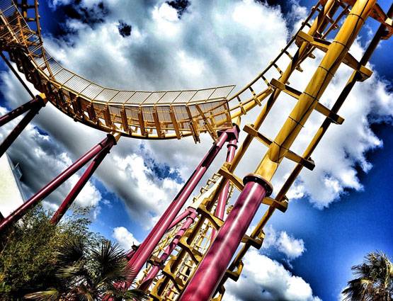 अजीबोगरीब डिग्रियां, जो कर देंगी आपको हैरान...