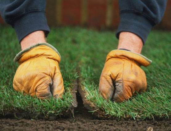 अजीबोगरीब डिग्रियां, जो कर देंगी आपको हैरान...