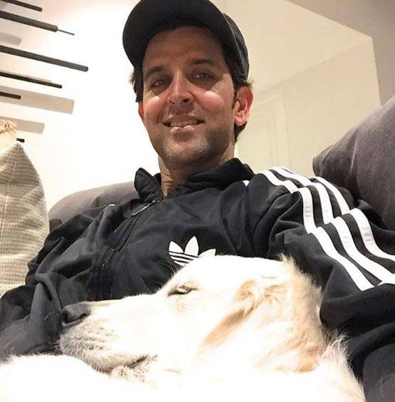 पक्के शिव भक्त हैं ये सितारे...