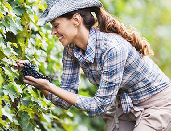 अजीबोगरीब डिग्रियां, जो कर देंगी आपको हैरान...