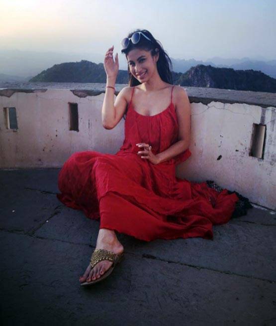 PHOTOS में जानें टीवी की नागिन की दिलचस्प बातें...