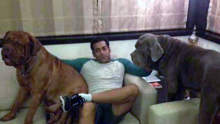 सलमान खान के घर की ये हैं खास PHOTOS