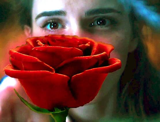 PHOTOS में देखें हॉलीवुड एक्ट्रेस एमा वॉटसन का गुजराती कनेक्शन