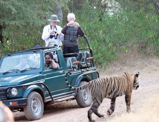 ये है लग्जरी ट्रेन महाराजा एक्सप्रेस, जानें कहां-कहां कराती है सैर