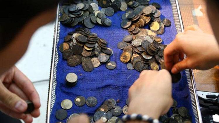 कछुए के पेट में एक-दो नहीं, 915 सिक्के, सर्जरी कर निकाले गए