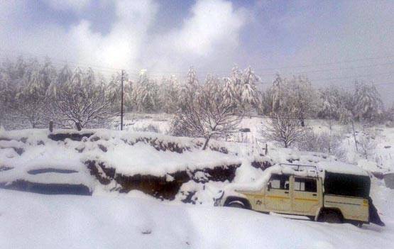 9 PHOTOS मेें देखें शिमला में बर्फबारी