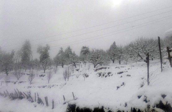 9 PHOTOS मेें देखें शिमला में बर्फबारी