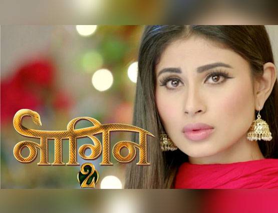 BAD NEWS: जल्द खत्म होगा नागिन 2!