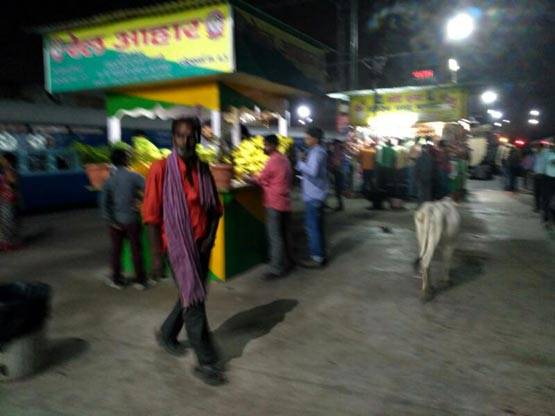 PHOTOS:रेलवे प्लेटफॉर्म पर गाय का सफर, मुस्कुराएं कि आप लखनऊ में हैं!