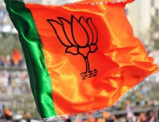 20 तस्वीरों में बीजेपी का इतिहास: जनसंघ से मोदी सरकार तक