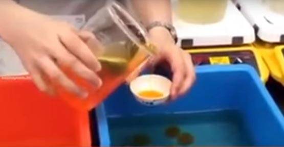 प्लास्टिक का अंडा ऐसे होता है तैयार, कहीं आप भी तो नहीं खा रहे?