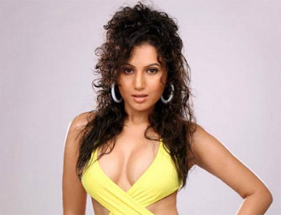 भुवनेश्वर कुमार को डेट कर चुकी ये साउथ एक्ट्रेस करने वाली है बॉलीवुड में एंट्री