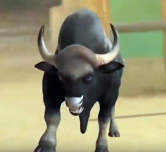 ऐसे शूट हुआ था 'बाहुबली' में भल्लालदेव और सांड के बीच लड़ाई का ये सीन!