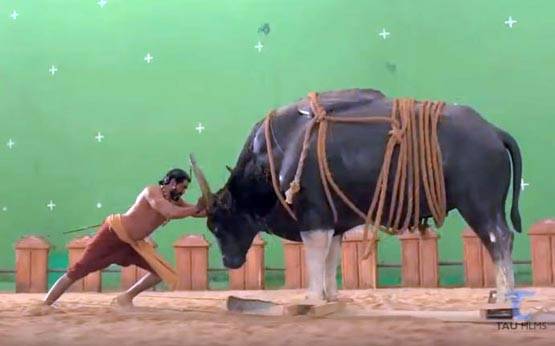 ऐसे शूट हुआ था 'बाहुबली' में भल्लालदेव और सांड के बीच लड़ाई का ये सीन!