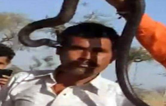 झटके से लड़की को मुंह में दबाकर पानी में खींच ले गई मछली PHOTOS