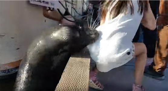 झटके से लड़की को मुंह में दबाकर पानी में खींच ले गई मछली PHOTOS