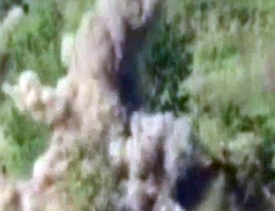 इन हथियारों से इंडियन आर्मी ने किया PAK सेना की चौकियों पर हमला