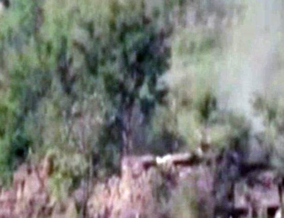 इन हथियारों से इंडियन आर्मी ने किया PAK सेना की चौकियों पर हमला