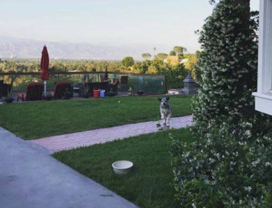 सनी लियोनी ने खरीदा नया घर, कभी गंदगी की वजह से हुई थीं बेघर