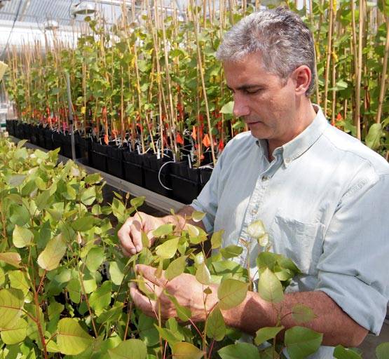 ये हैं वो 17 कोर्स, जिन्हें करने के बाद लाखों में होगी आपकी सैलरी