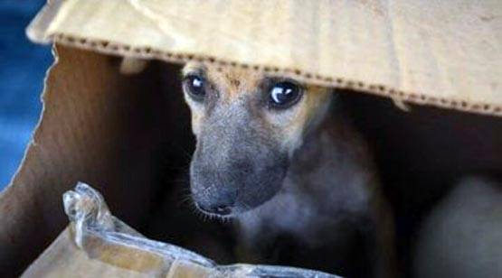 इस फोटो को देख बोले लोग- भारत ने किया PAK पर कब्जा