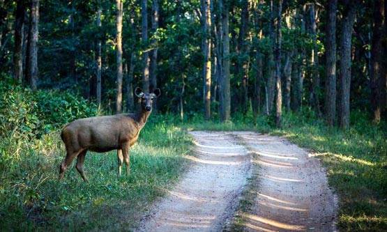 PHOTOS: फिरकी के जादूगर ही नहीं, कैमरे के उस्ताद भी हैं कुंबले