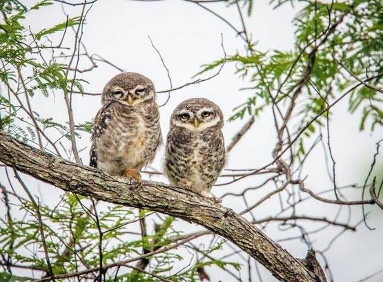 PHOTOS: फिरकी के जादूगर ही नहीं, कैमरे के उस्ताद भी हैं कुंबले