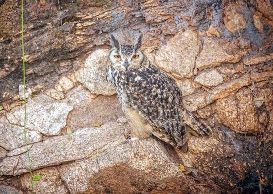 PHOTOS: फिरकी के जादूगर ही नहीं, कैमरे के उस्ताद भी हैं कुंबले
