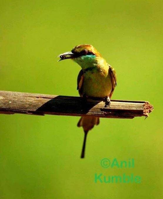 PHOTOS: फिरकी के जादूगर ही नहीं, कैमरे के उस्ताद भी हैं कुंबले