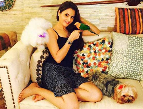 वीराना की हीरोइन, मंदाकनी,अंडरवर्ल्ड ने खत्म किया इन ऐक्ट्रेस का करियर