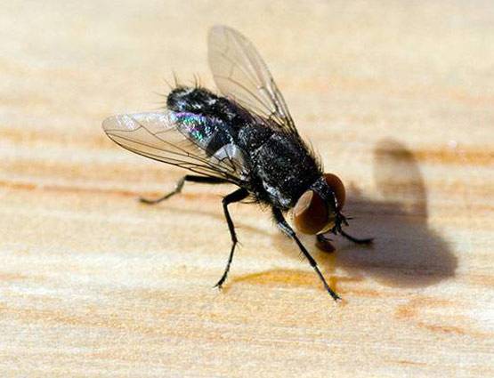 डेली लाइफ से जुड़े इन सवालों के जवाब आपको हैरान कर देंगे