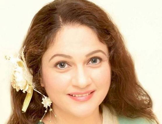 आमिर की ये हिरोइन कभी नजर आई थीं B ग्रेड फिल्मों में, अब इस शो में बनी संतोषी मां