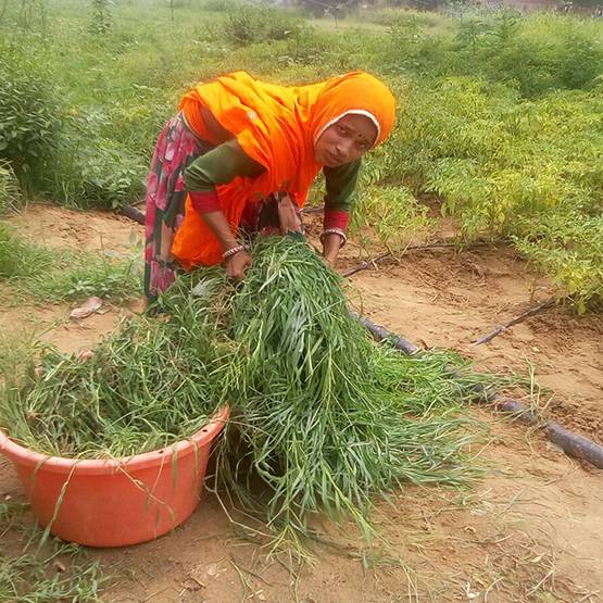 8 साल की उम्र में बनी बालिका वधू, अब बनने जा रही है डॉक्टर