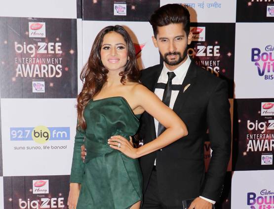 PHOTOS: जी एंटरटेंमेंट अवॉर्ड्स में सलमान-आलिया संग पहुंचे ये सितारें