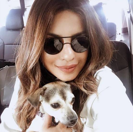 छुटि्टयां मनाकर वापस देश लौटीं प्रियंका, ऐसे मनाएंगी अपना B'Day