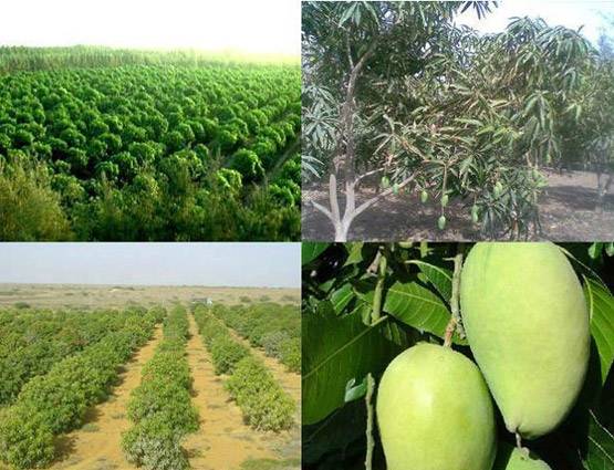 4 आने के 'सूत ट्रेडिंग' से 'फ्री के JIO' तक कैसे बना ब्रांड 'अंबानी'